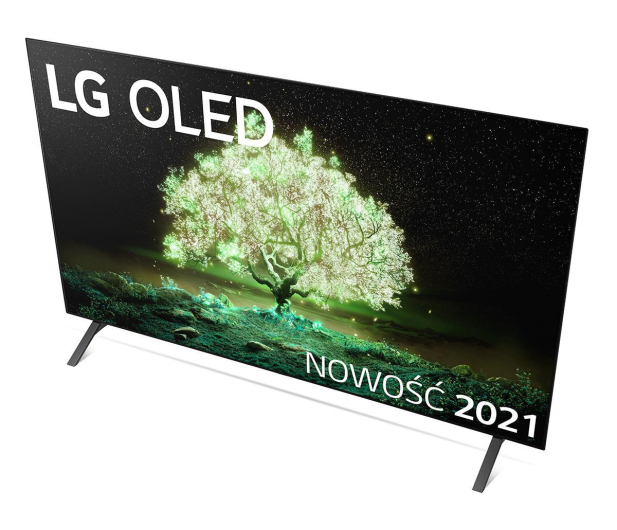 LG OLED48A13LA - 663097 - zdjęcie 12